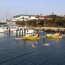 카오카오 이미지