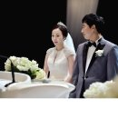 브라운파크 이미지