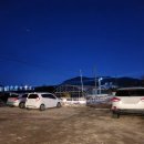 성저로112 | [김해공항 근처 카페] 해피삐데이 / 부산 대저동 애견 동반 가능한 힐링카페 / 솔직 후기 리뷰