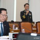 손효주