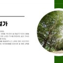 산림문화협동조합더그루 이미지