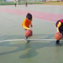 일원초등학교 이미지