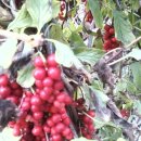 태일농장 이미지