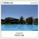 제주바이브 - 서귀포시 환해장성로 950 | 야크마을 제주의 힐링 명소 아웃도어 풀 & 웨이브 바이브 후기!