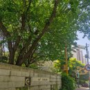 쇠재공원 이미지