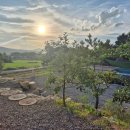 단지장골 이미지