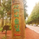 사려니 팬션 이미지