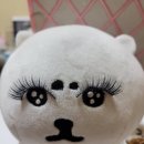컬업뷰티
