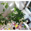 무성약국 이미지