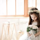 아이라임스튜디오 이미지