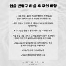 나움 이미지