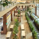 멍그니엘 애견호텔 경기광주점 | 그랜마스 경기광주점 애견동반 가능 대형카페