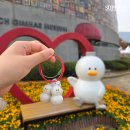 김해분청도자기 축제 | 김해 분청 도자기 축제 2025 후기 주차 강아지 체험 안내