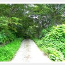 성골펜션 이미지