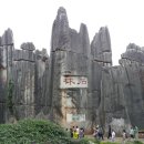 석림3로 이미지