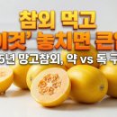 은천농장 | 2025년 프리미엄 망고참외, 실패 없이 고르는 법 &amp; 영양 성분 분석 (필수 섭취량)