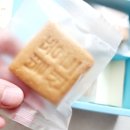 별똥마켓 | 영천 초아당 살구맛 별똥샌드8구 선물세트