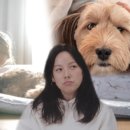 무지개농장2 이미지