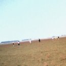 잔디휴가중 이미지