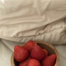 5월의 맛있는거 가득했던 일상 정리하기ღ