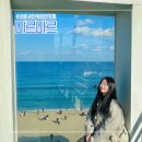 안목해변 카페 강릉 미르마르 오션뷰 포토존 내돈내산 추천후기