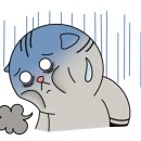 나비공작소