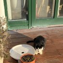 흑진주 | [거제도펜션] 깨끗한 오션뷰 스파펜션 흑진주마리나리조트 D동 이용후기