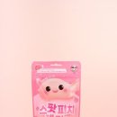 피치메디컬 동아일보