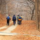 산수유 둘레길 이미지