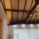 가지스테이 이미지