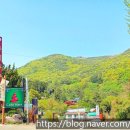 김대륜 그림비 이미지