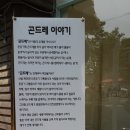 [서울 서교동] "옹달샘" 돼지고기 김치찜, 곤드레나물밥 이미지