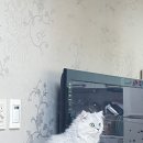 그루밍선데이 이미지