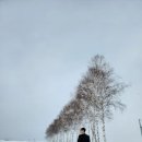 삿포로
