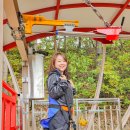 신화랑풍류숲길 | 경북 아이와 가볼만한곳 청도군 신화랑 풍류마을 스카이트레일 짚롤러코스터