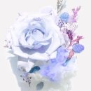 가장 아름다운 노래 이미지