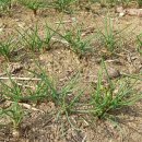 고요농장 이미지