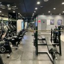 뉴텍컴퓨터 | 논현역 헬스 | 스포애니 1:1 맞춤 PT 솔직 후기 공개해요!