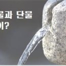 단물