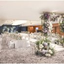 노보텔 앰배서더 서울 동대문 호텔 이미지