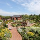 제주허브동산 이미지