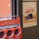 캣다방 | 구미 고양이 카페 캣다방 방문 후기✨