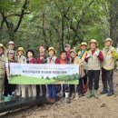 개인(강정숙) 이미지