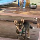 엄둔밸리 이미지