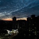 사직2동-17 이미지