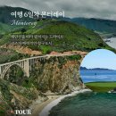 포트벨리 이미지