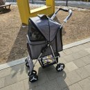 테라스의 아침2 이미지