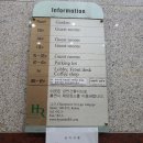 모텔 트리 이미지