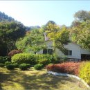 정원이 아름다운 집 이미지