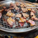 공항갈매기&전